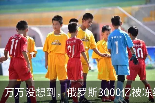 万万没想到，俄罗斯3000亿被冻结后，竟想让中国把黄金运到莫斯科