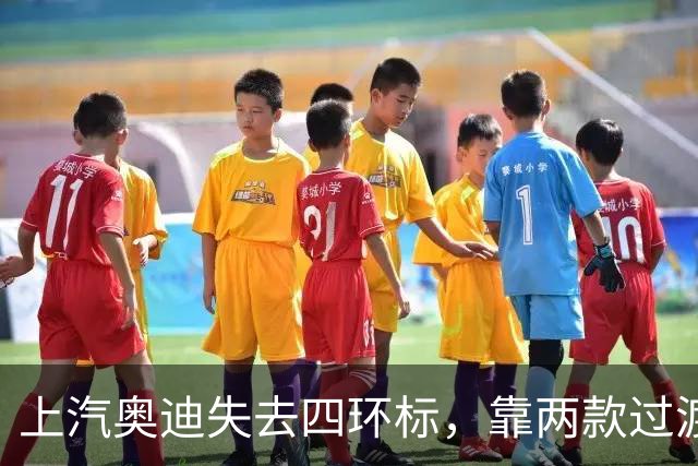上汽奥迪失去四环标，靠两款过渡车能撑过两年空窗期吗？
