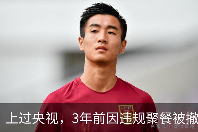 上过央视，3年前因违规聚餐被撤职的厅长王学文，开起了网约车？