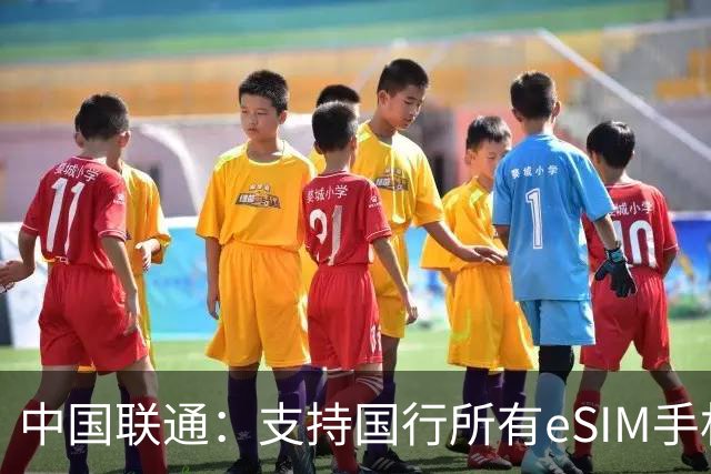 中国联通：支持国行所有eSIM手机业务办理，针对本月新发布的华为和苹果手机推出尝鲜季活动