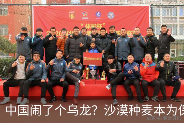 中国闹了个乌龙？沙漠种麦本为保粮仓，谁料金黄麦浪竟成治沙神器