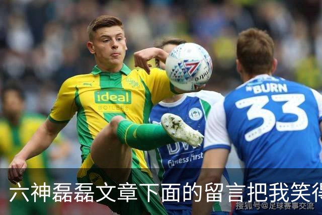 六神磊磊文章下面的留言把我笑得肚子疼