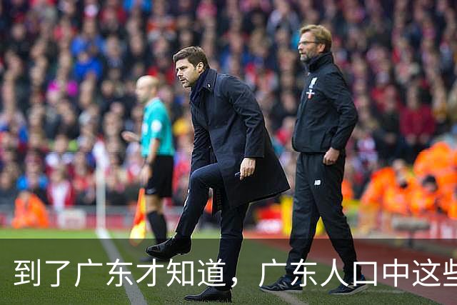 到了广东才知道，广东人口中这些话，果然不可信而且别全信