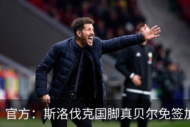 官方：斯洛伐克国脚真贝尔免签加盟希腊超莱瓦贾科斯
