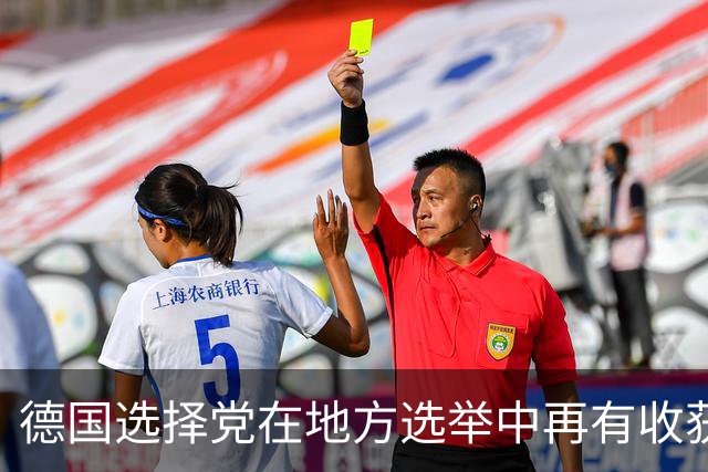 德国选择党在地方选举中再有收获，魏德尔离总理宝座又近一步