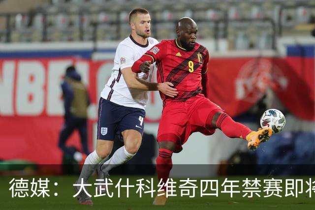 德媒：大武什科维奇四年禁赛即将结束，可以随汉堡训练