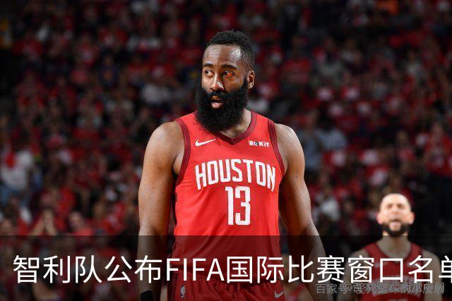 智利队公布FIFA国际比赛窗口名单：24人入选，另有3名“客人”