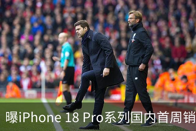 曝iPhone 18 Pro系列国内首周销量近130万台，Pro Max占比超五成