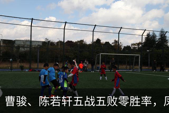 曹骏、陈若轩五战五败零胜率，凤雏淘汰，曾辉、王啸坤成大赢家