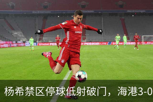 杨希禁区停球低射破门，海港3-0山东