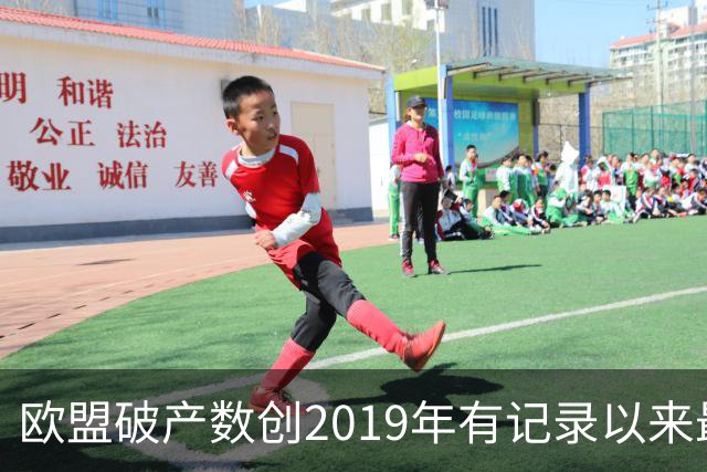 欧盟破产数创2019年有记录以来最高，新企业注册却停滞
