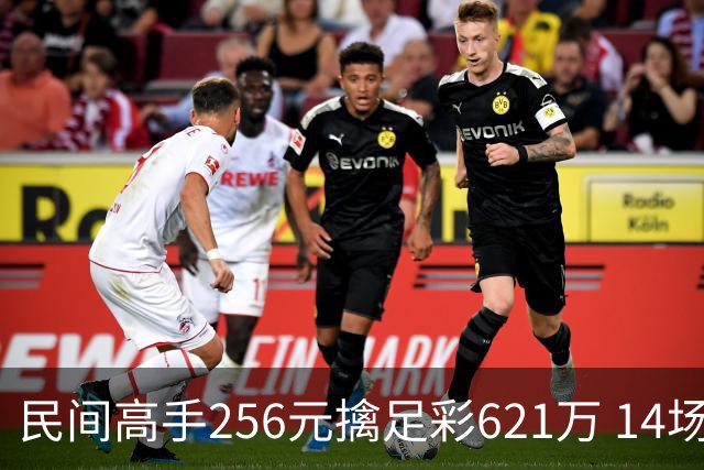 民间高手256元擒足彩621万 14场仅有5场正路-票