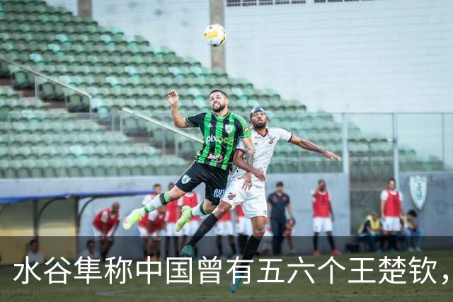水谷隼称中国曾有五六个王楚钦，从水浒英雄落幕看国乒单核困境