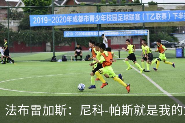法布雷加斯：尼科-帕斯就是我的意甲冠军