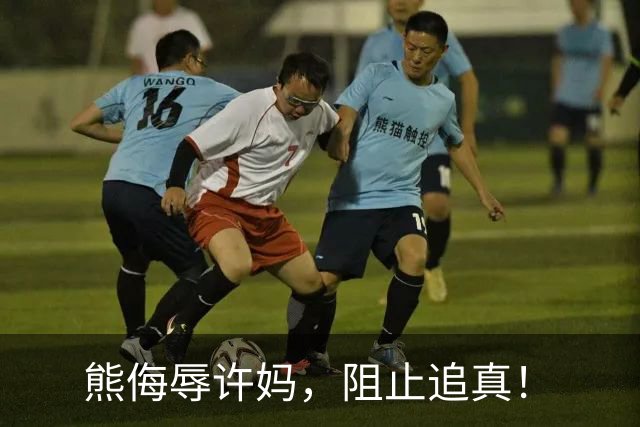 熊侮辱许妈，阻止追真！