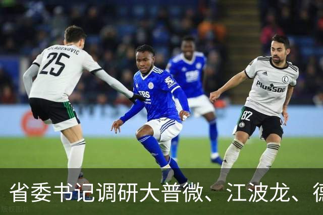 省委书记调研大普微、江波龙、德明利、佰维存储！