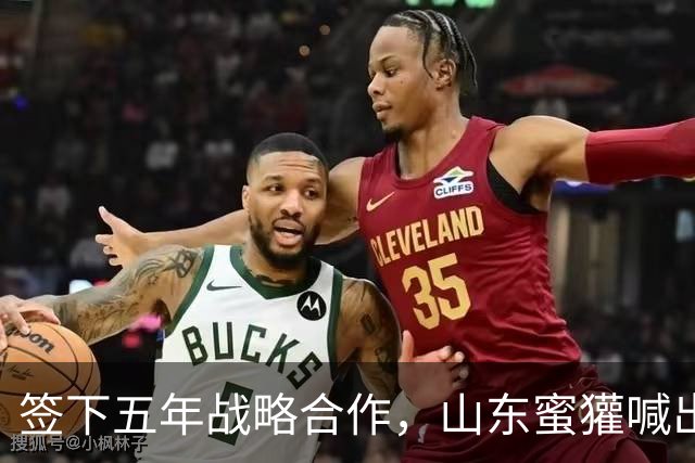 签下五年战略合作，山东蜜獾喊出冲击CBA