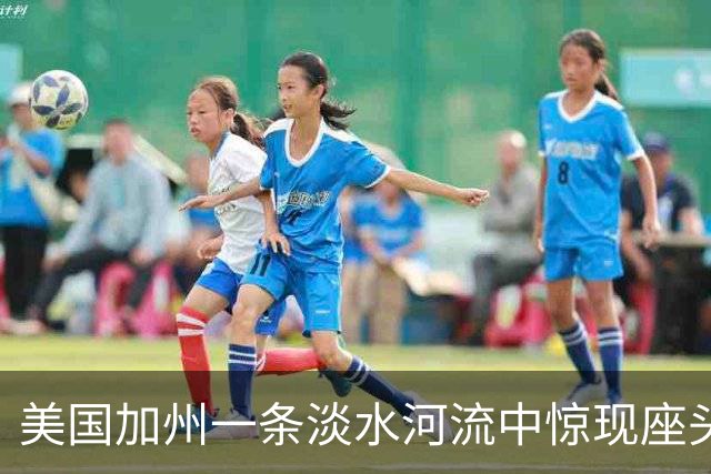 美国加州一条淡水河流中惊现座头鲸，距其太平洋栖息地足有97公里