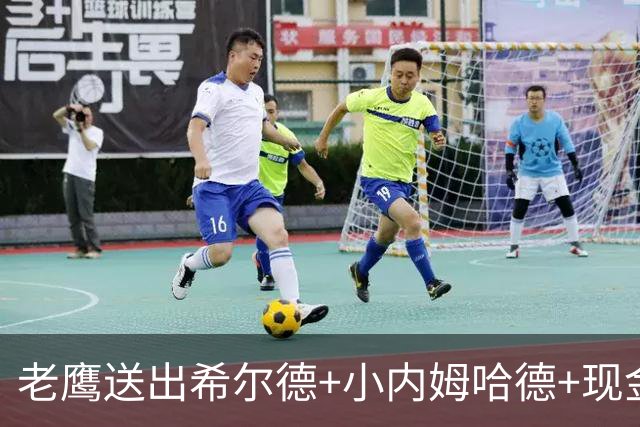 老鹰送出希尔德+小内姆哈德+现金 从黄蜂换回DFS