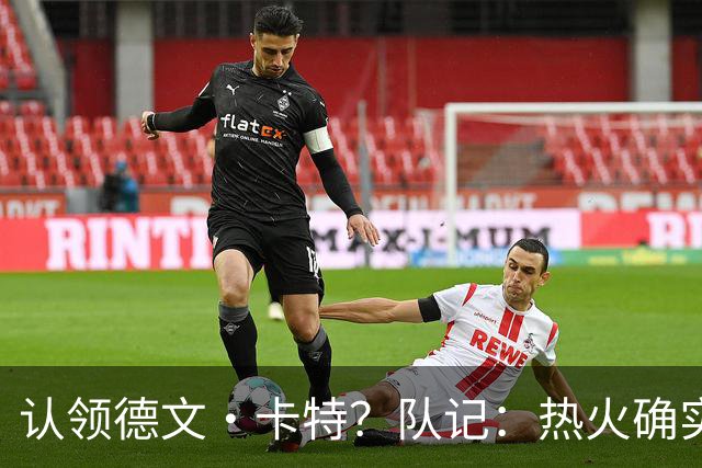 认领德文·卡特？队记：热火确实喜欢签关系户 但要考虑他的伤病
