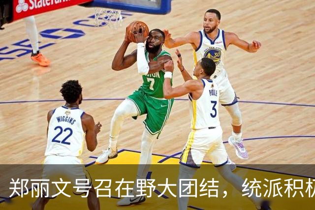 郑丽文号召在野大团结，统派积极响应，历史哥、馆长、侯汉廷参战