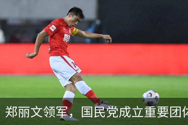 郑丽文领军，国民党成立重要团体，苏巧慧选情被一人戳穿，不简单