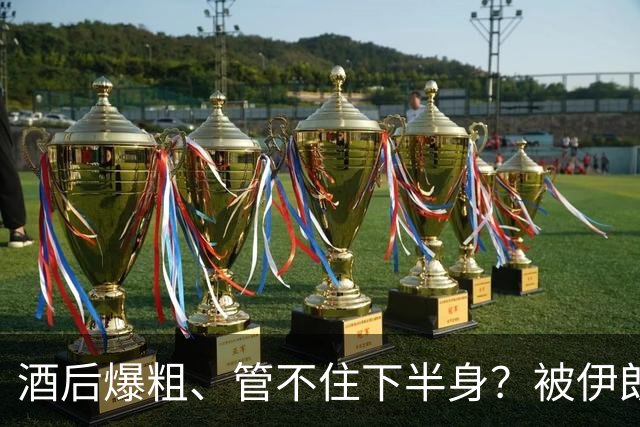 酒后爆粗、管不住下半身？被伊朗吊打不到一周，张本智和被曝猛料