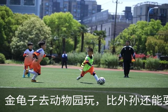 金龟子去动物园玩，比外孙还能耍宝，王宁低调陪伴，62岁大肚腩了
