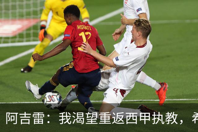 阿吉雷：我渴望重返西甲执教，希望瓦伦西亚主场重新变为堡垒