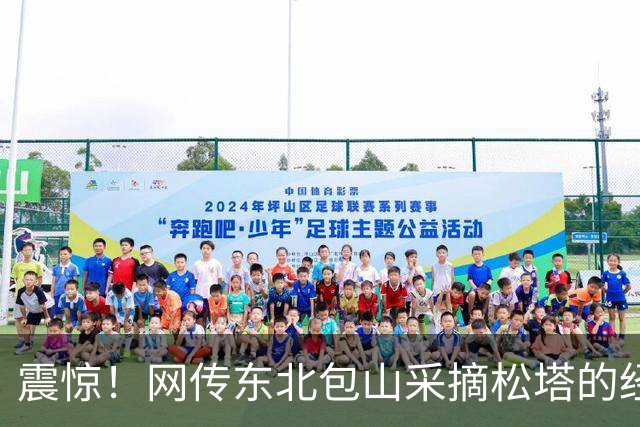 震惊！网传东北包山采摘松塔的经营者，为多收松子，树上挂满毒瓜子杀松鼠，导致尸横遍野