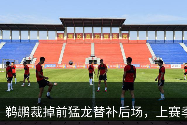鹈鹕裁掉前猛龙替补后场，上赛季他在欧洲赛场的表现非常一般？