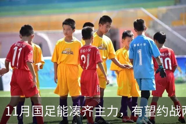 11月国足能凑齐主力，有望约战两劲敌，邵佳一亚洲杯试金，安帅带好国奥