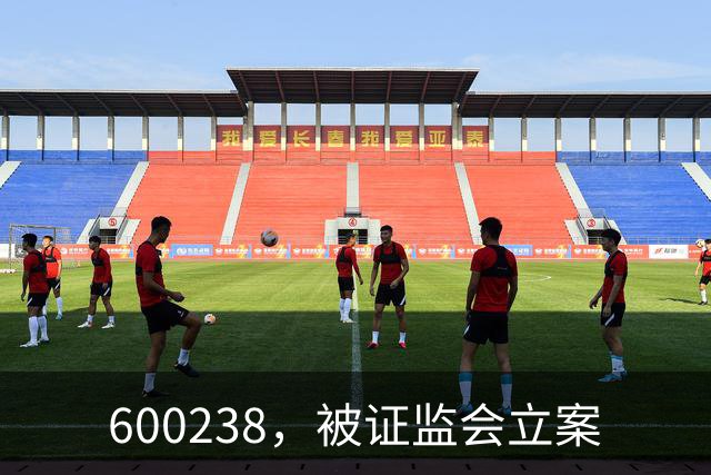 600238，被证监会立案