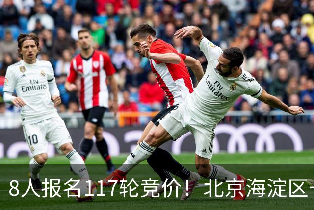 8人报名117轮竞价！北京海淀区一套豪宅拍卖，被人以1.09亿拿下
