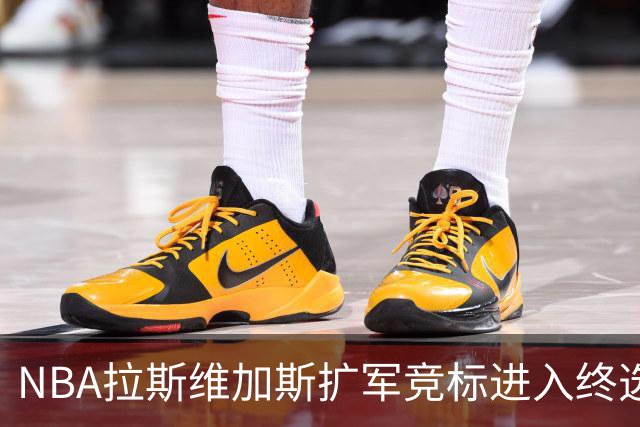 NBA拉斯维加斯扩军竞标进入终选阶段