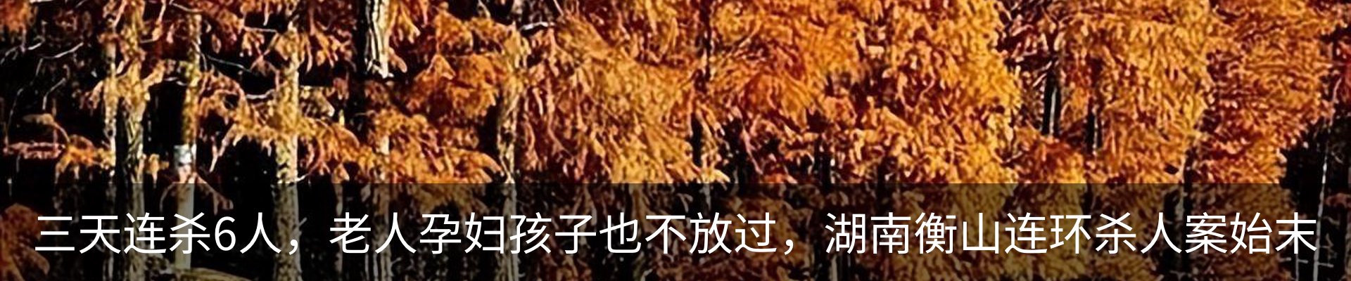 热点资讯