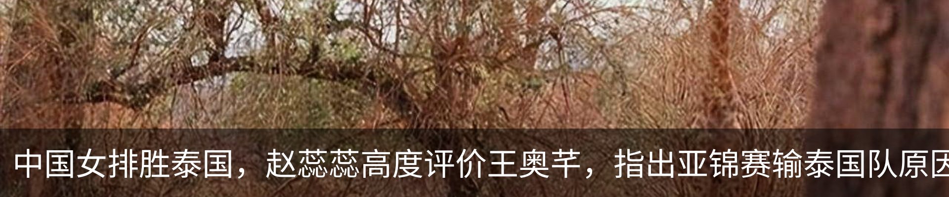 热点资讯