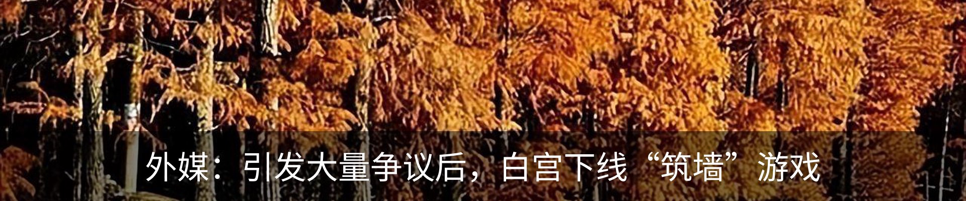 热点资讯