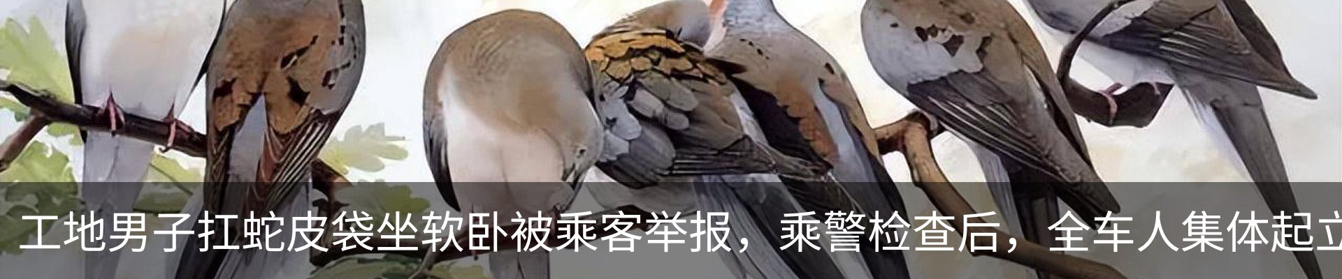 热点资讯