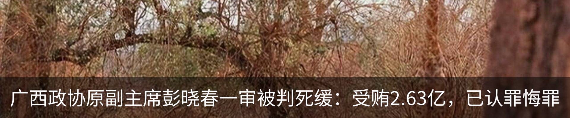 热点资讯
