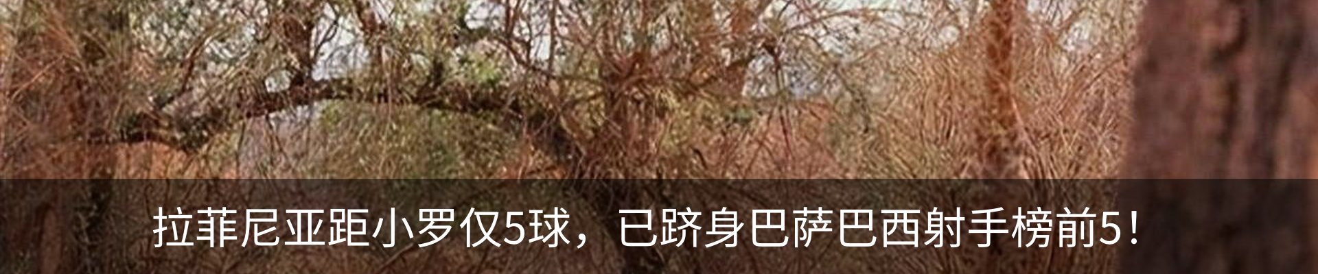 热点资讯