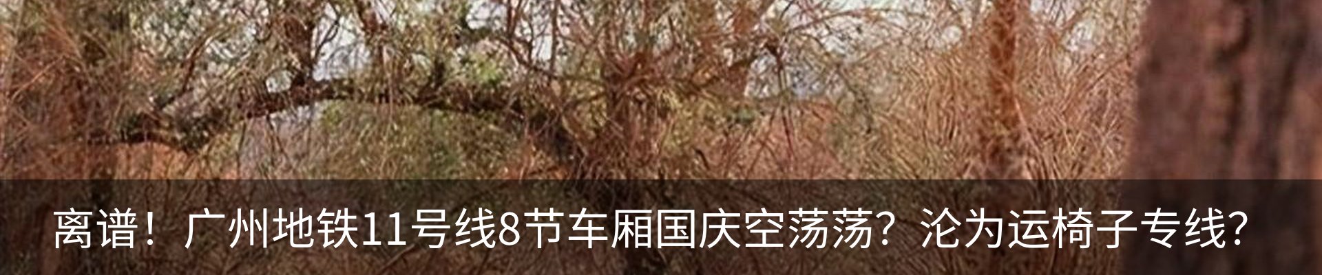 热点资讯