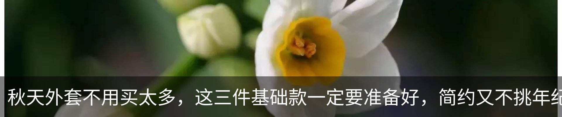 热点资讯
