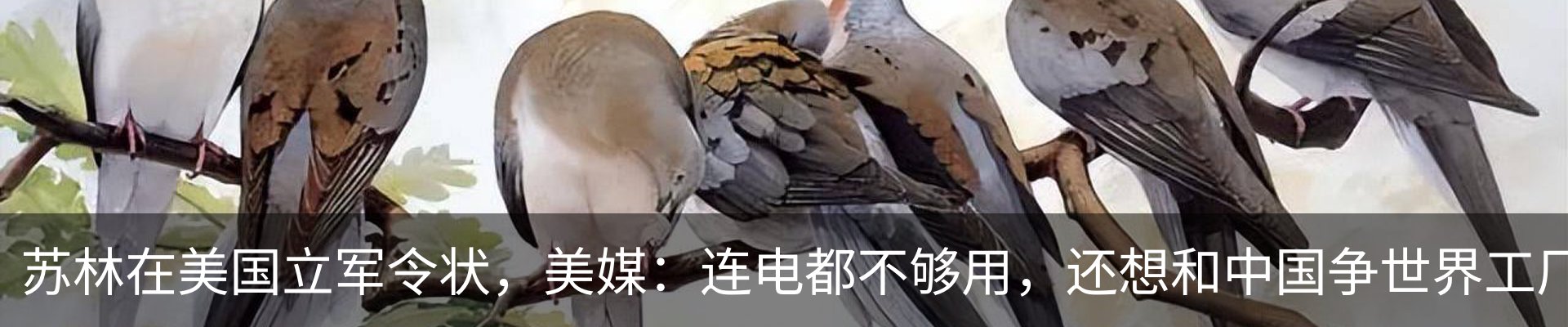 热点资讯
