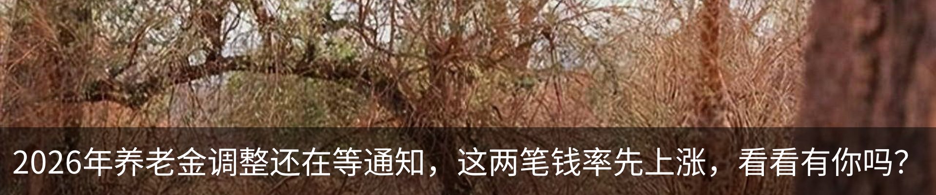 热点资讯